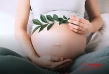 O que comer e o que não comer na gravidez